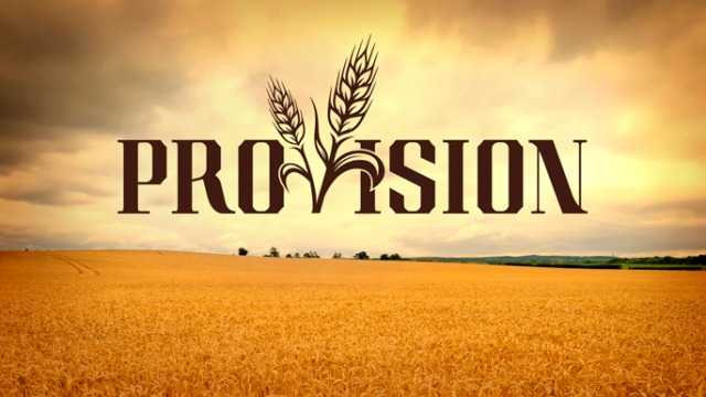 商务英语中熟悉的陌生人："Provision"